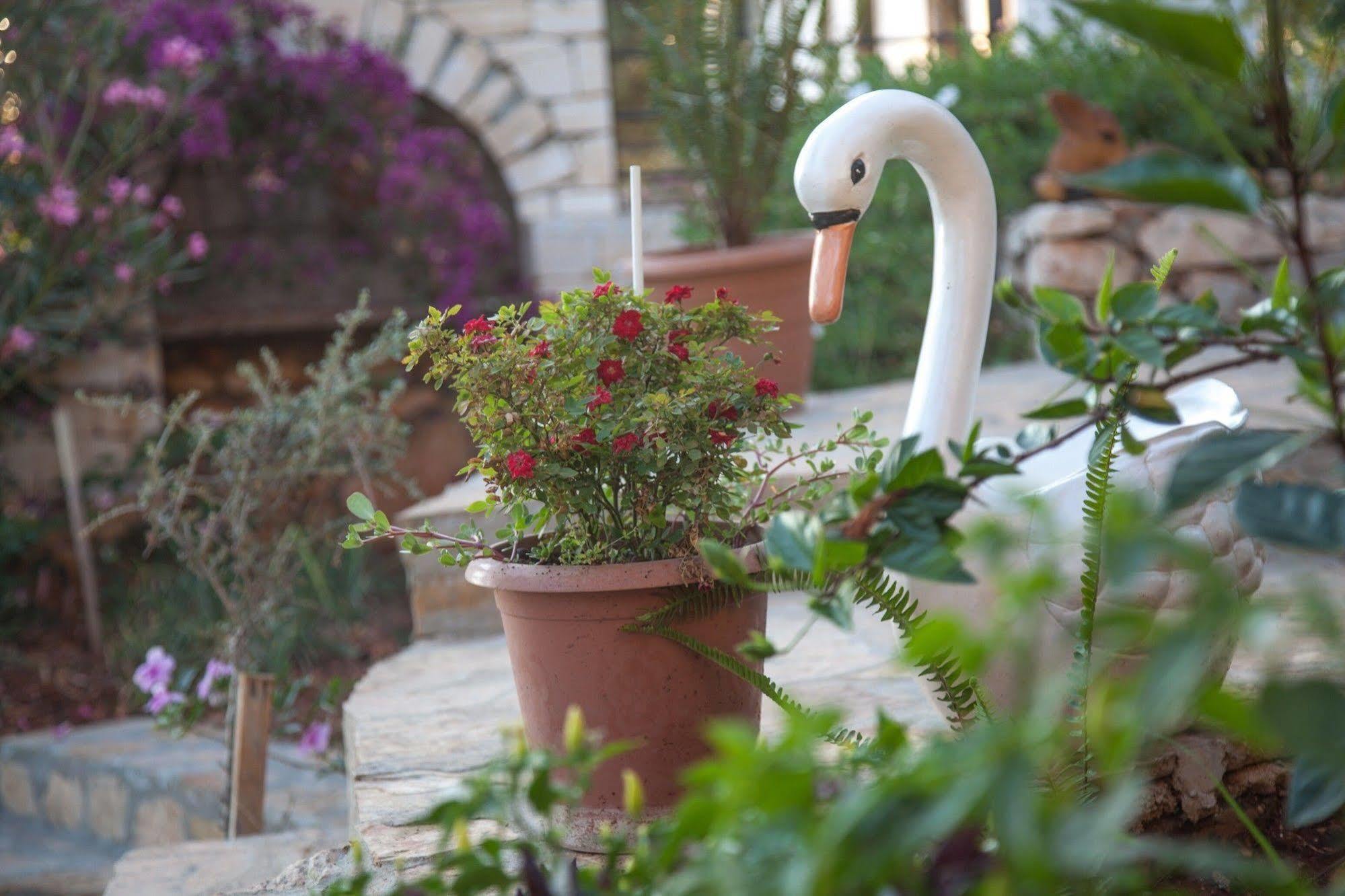 קס Sunset Villa Hotel מראה חיצוני תמונה